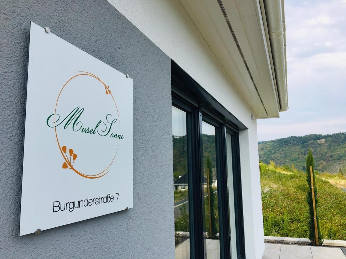 Neu - Premium-Ferienhaus Mosel-Sonne Traben-Trarbach Ngoại thất bức ảnh